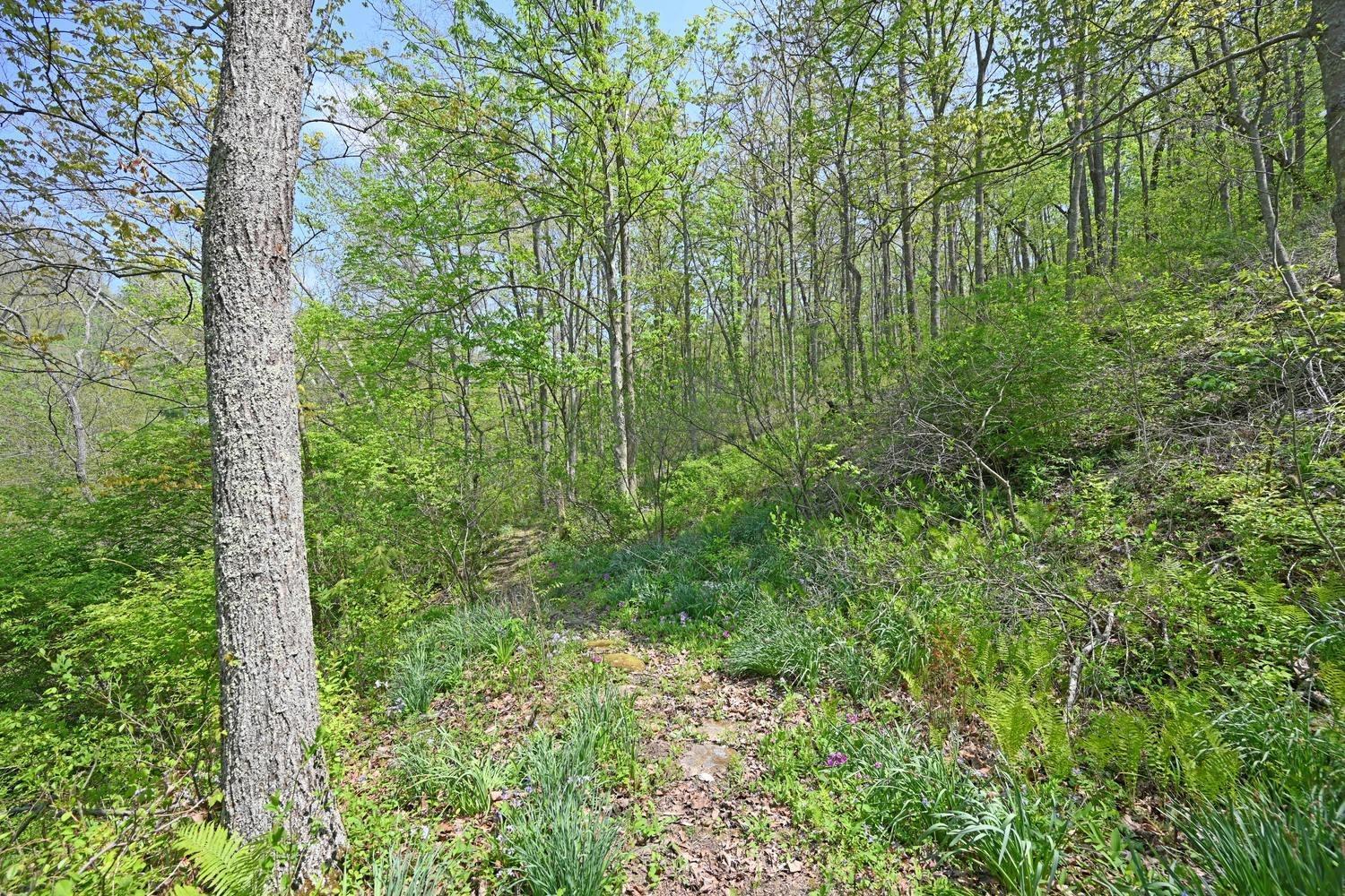 460 8 Mile Road Cincinnati, OH 45255 - Photo 43 of 50