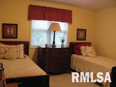 2510 Rae Allen Lane Marion, IL 62959 - Photo 16 of 19 Gallery Image 16