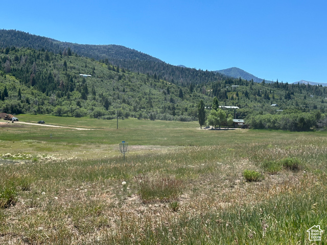 14050 Oak Rdg Circle, Unit 144 Mount Pleasant, UT 84647 - Photo 24 of 28 Mountain view with a forest and rural landscape