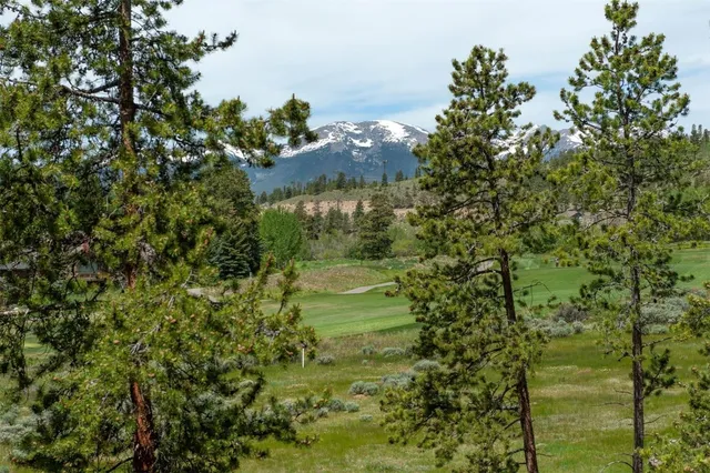 a view of a lake in a forest
