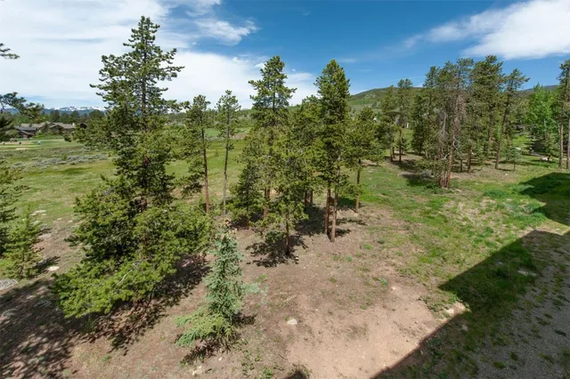 a view of a yard with plants and a trees