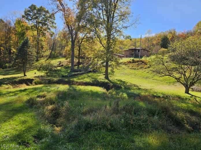 8125 Scio Road Scio, OH 43988 - Photo 13 of 16 View of green lawn featuring a view of trees