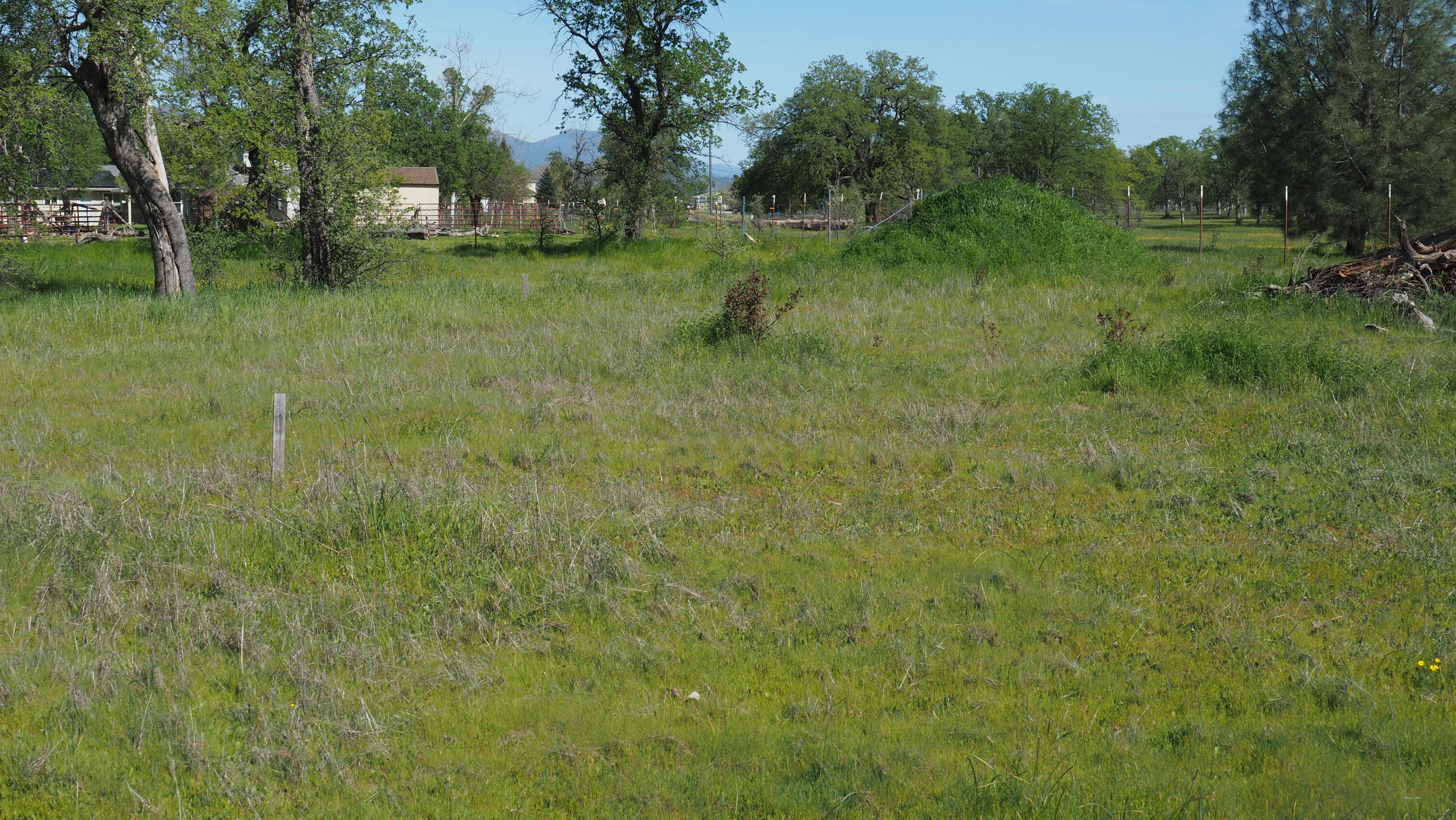 21752 Hidden Acres Road Bella Vista, CA 96003 - Photo 3 of 12 P3150044