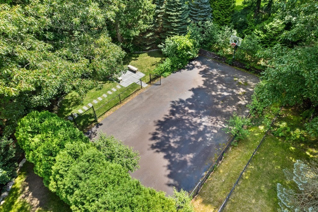 6 Jonas Stone Circle Lexington, MA 02420 - Photo 41 of 42 a view of a yard with plants