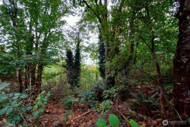 $125,000 | 0 Lot C Melcher St Port Orchard, Port Orchard, WA 98366