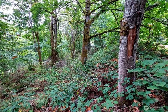 $125,000 | 0 Lot C Melcher St Port Orchard, Port Orchard, WA 98366