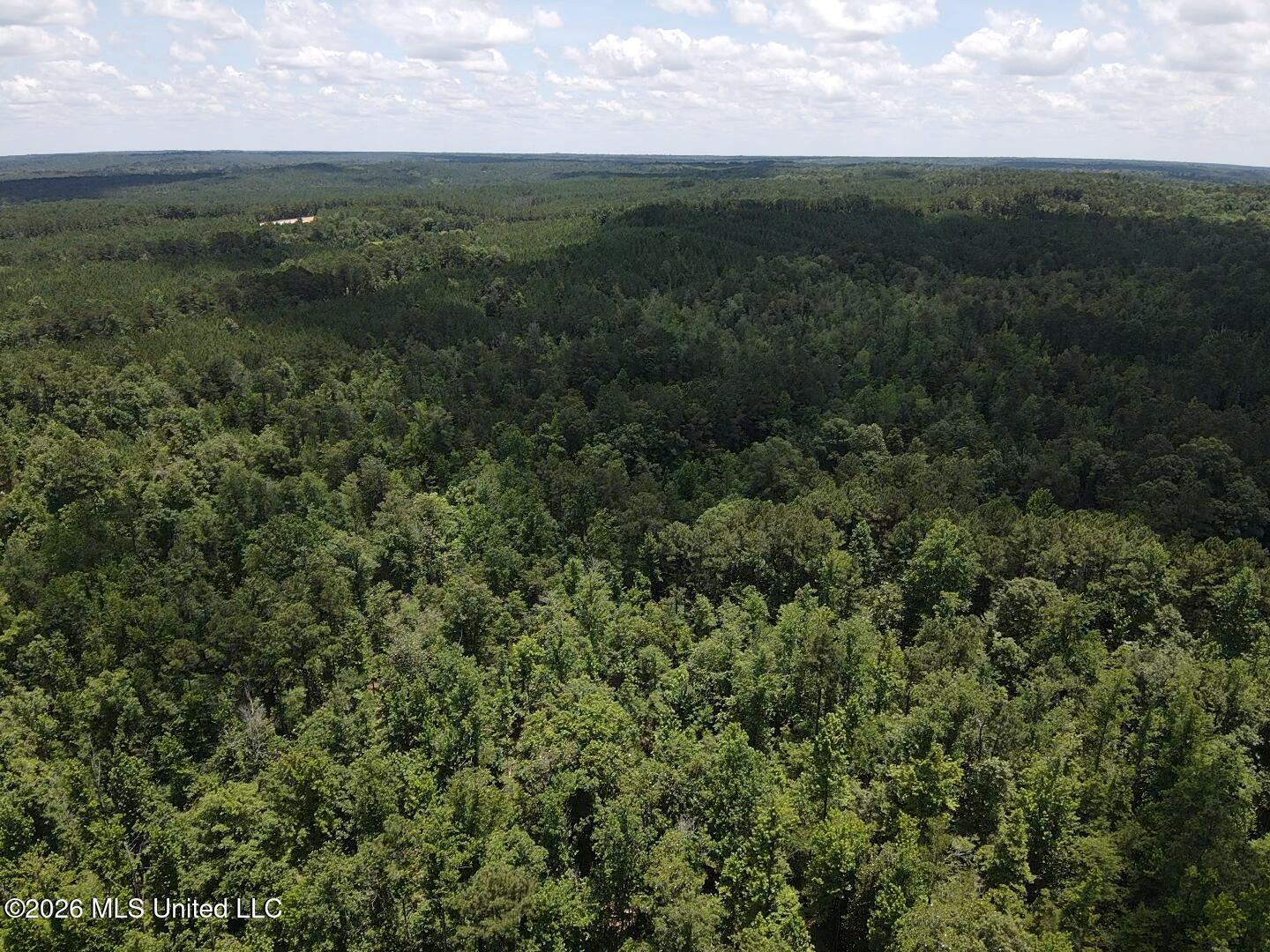 Stump Road Crosby, MS 39633 - Photo 31 of 60 2026-06-09-13-18-19-353