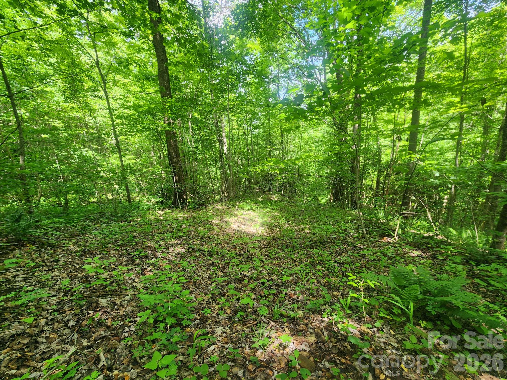 789 Jarrett Cove Road Marshall, NC 28753 - Photo 29 of 41