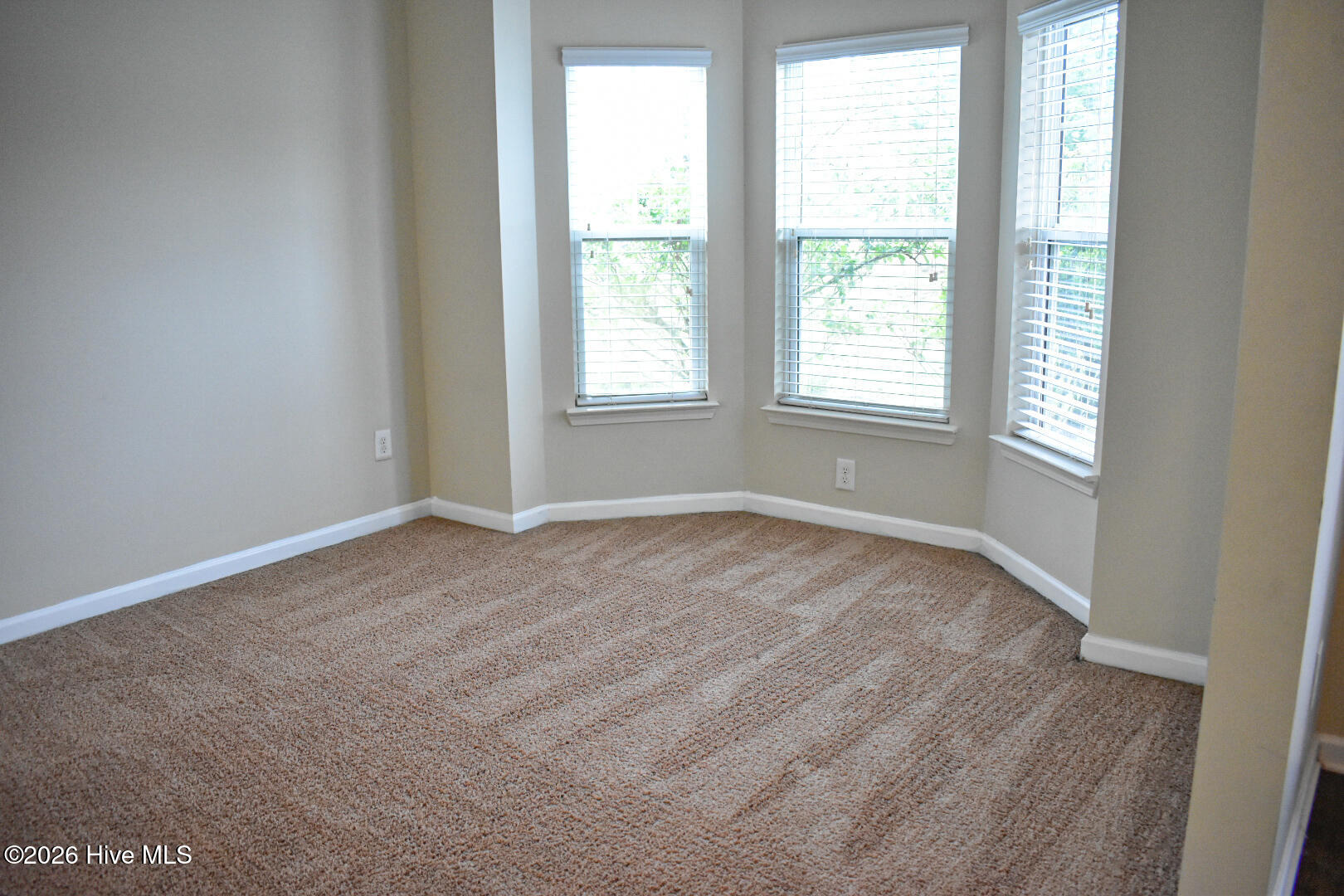 5334 Bull Street Augusta, GA 30909 - Photo 2 of 22