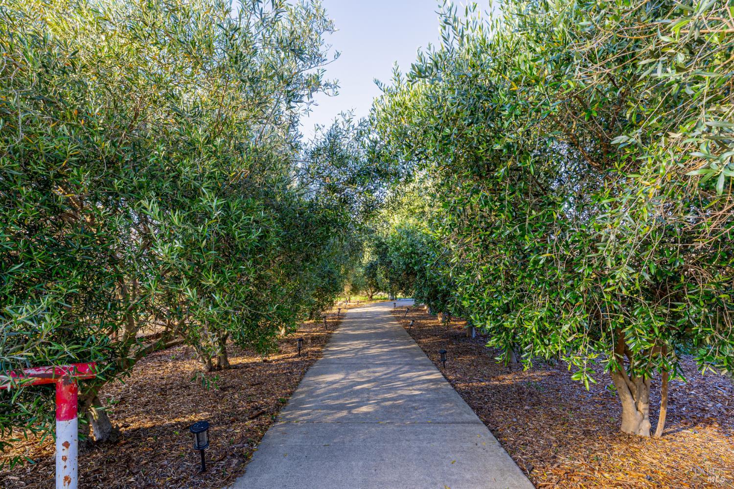 1793 Monticello Road Napa, CA 94558 - Photo 11 of 20