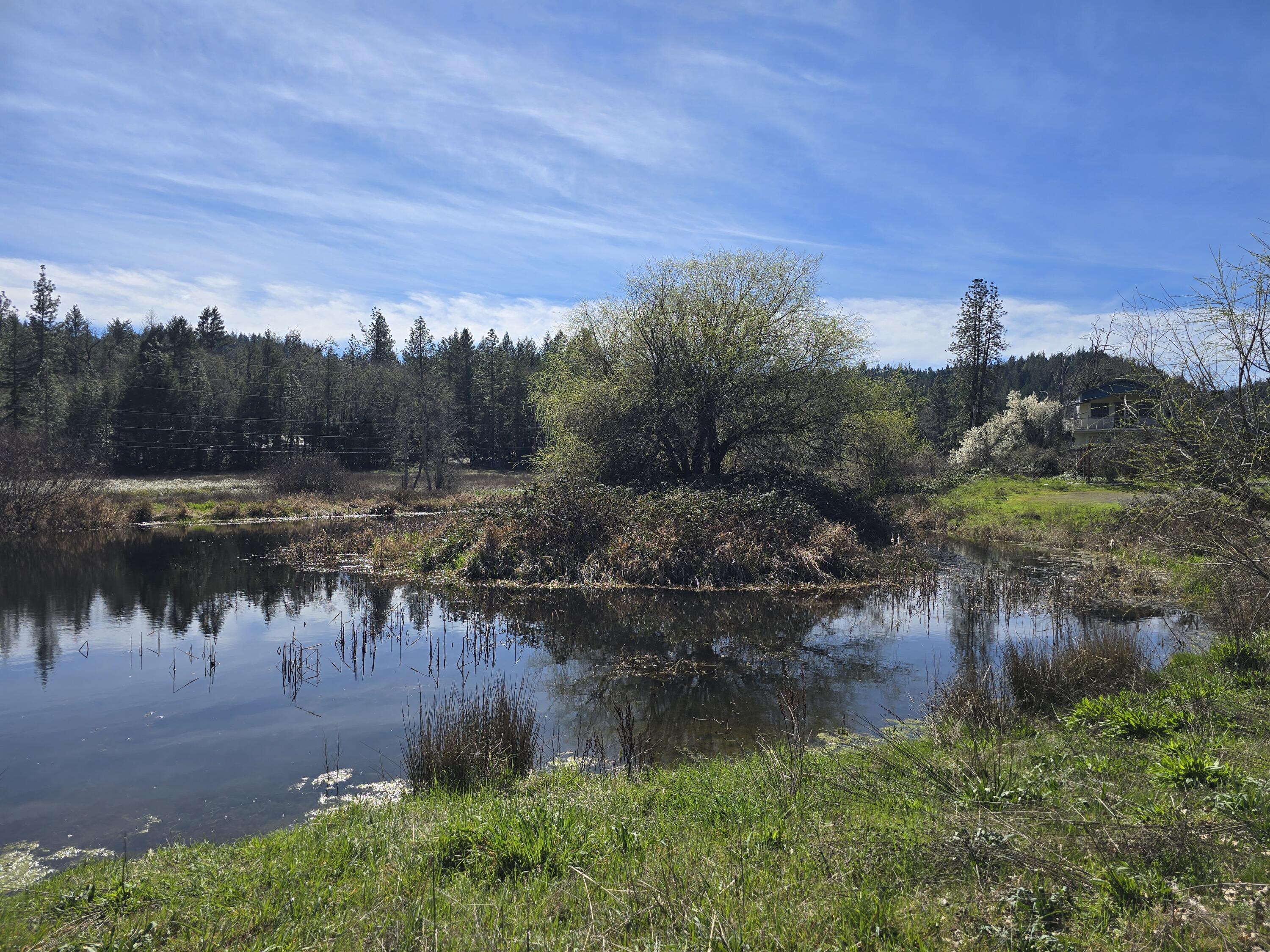 147 Warren Road Selma, OR 97538 - Photo 6 of 16 a view of a lake view with houses in back