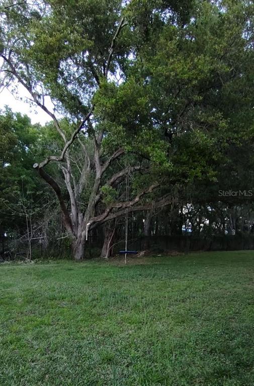 Undisclosed Address Valrico, FL 33594 - Photo 2 of 2 a view of a field with a tree in front of the house