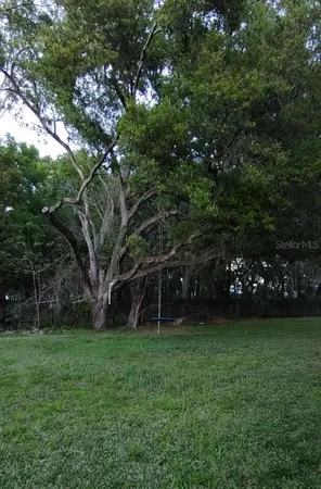 a view of a field with a tree in front of the house