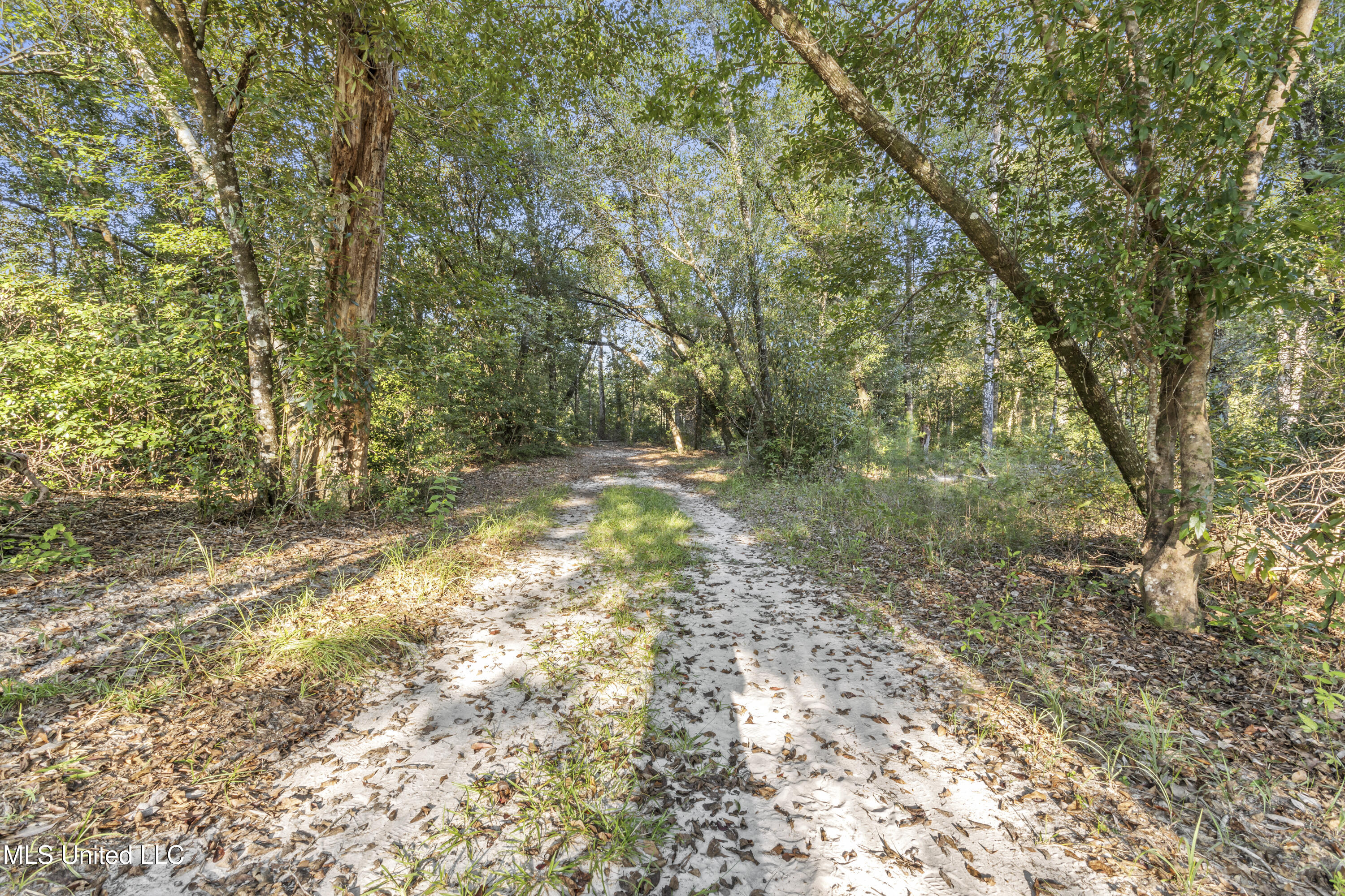 5106 Vestry Road, Unit A Perkinston, MS 39573 - Photo 32 of 94 0060