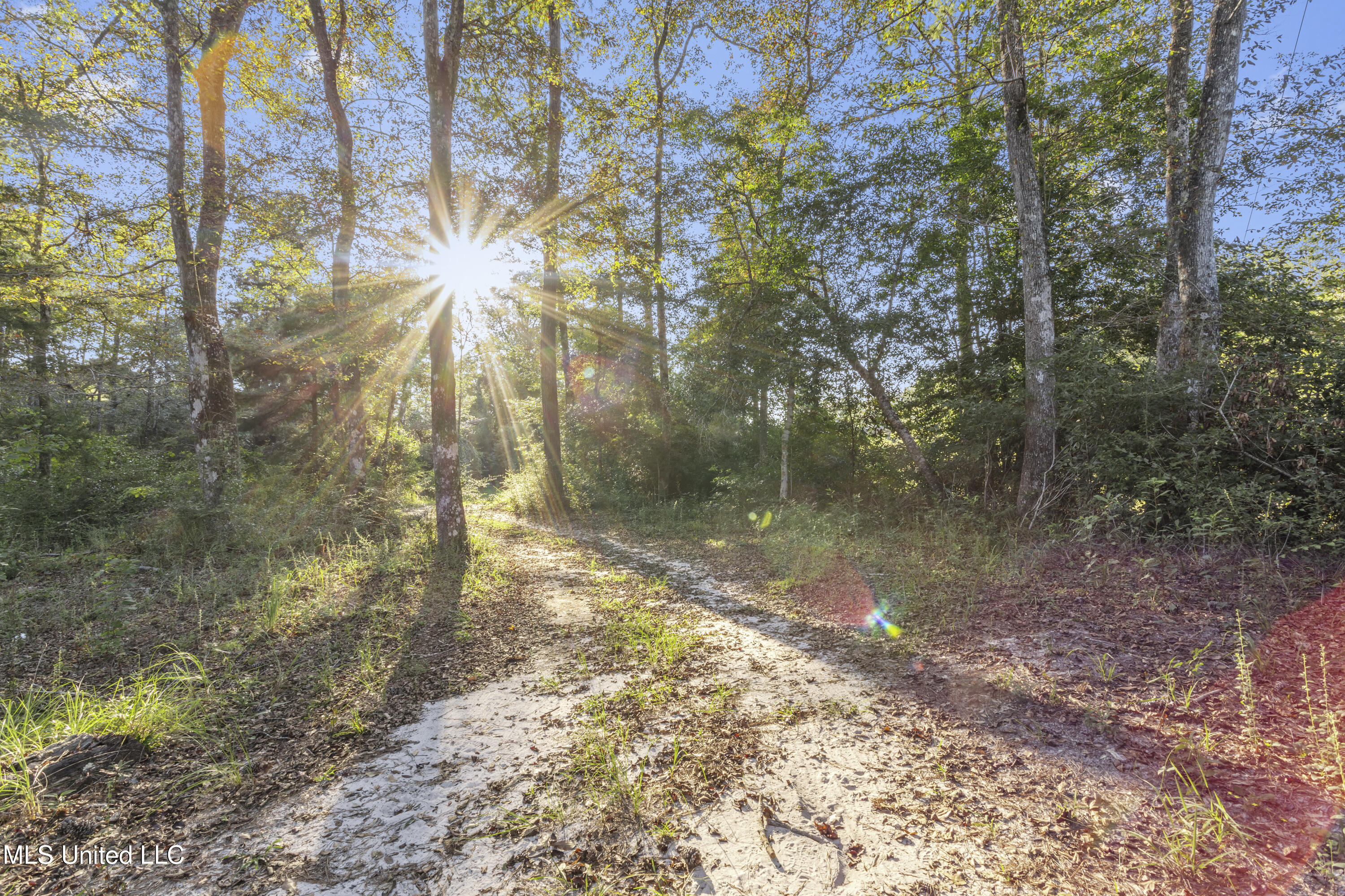 5106 Vestry Road, Unit A Perkinston, MS 39573 - Photo 33 of 94 0062
