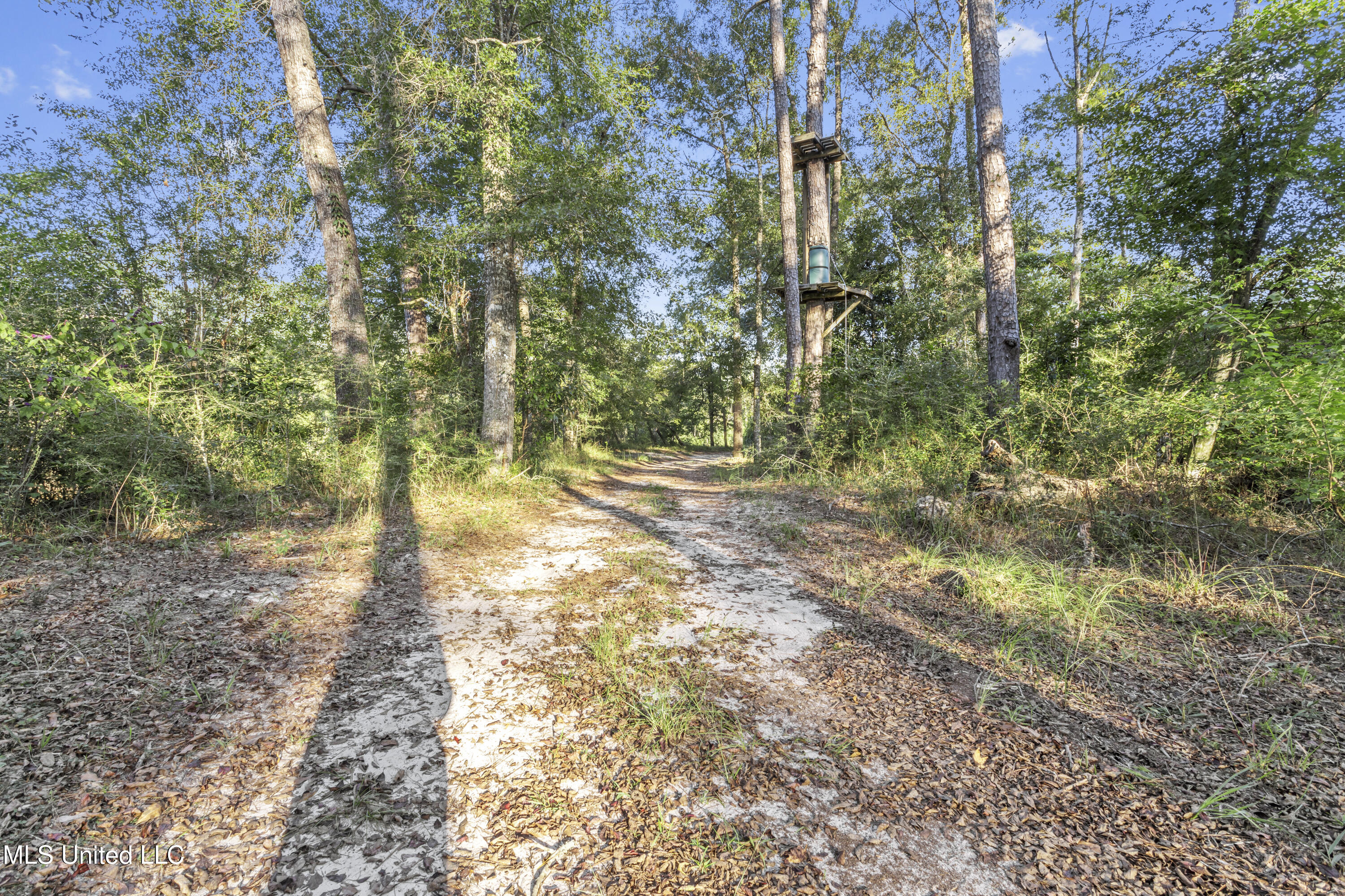 5106 Vestry Road, Unit A Perkinston, MS 39573 - Photo 76 of 94 0061