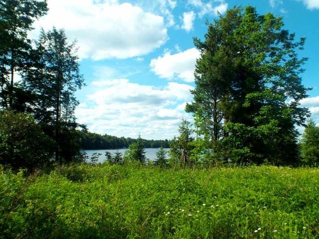 3.6-acre Maywood Road Deerbrook, WI 54424 - Photo 6 of 20 Gallery Image 6
