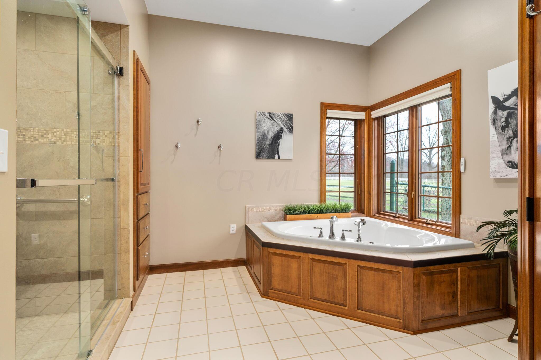 3450 Mann Road Blacklick, OH 43004 - Photo 53 of 134 Primary Suite Bathroom