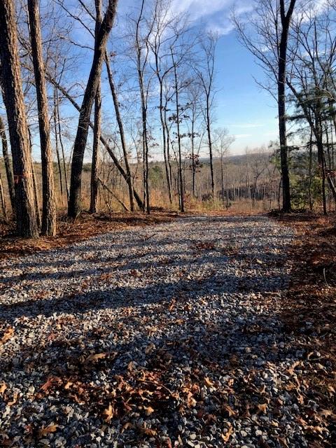 Your access drive-way on a quiet side street onto 21.37 acres with trees, views and peace and quiet!