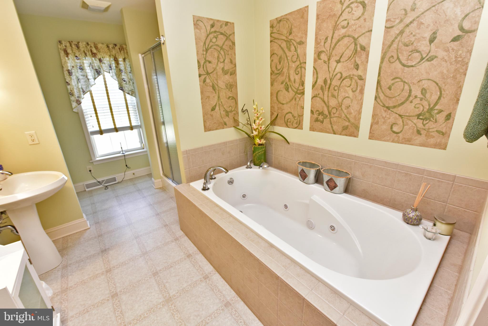 67 Harristown Road Paradise, PA 17562 - Photo 27 of 43 Main bedroom Full bath, with oversized tub and sho