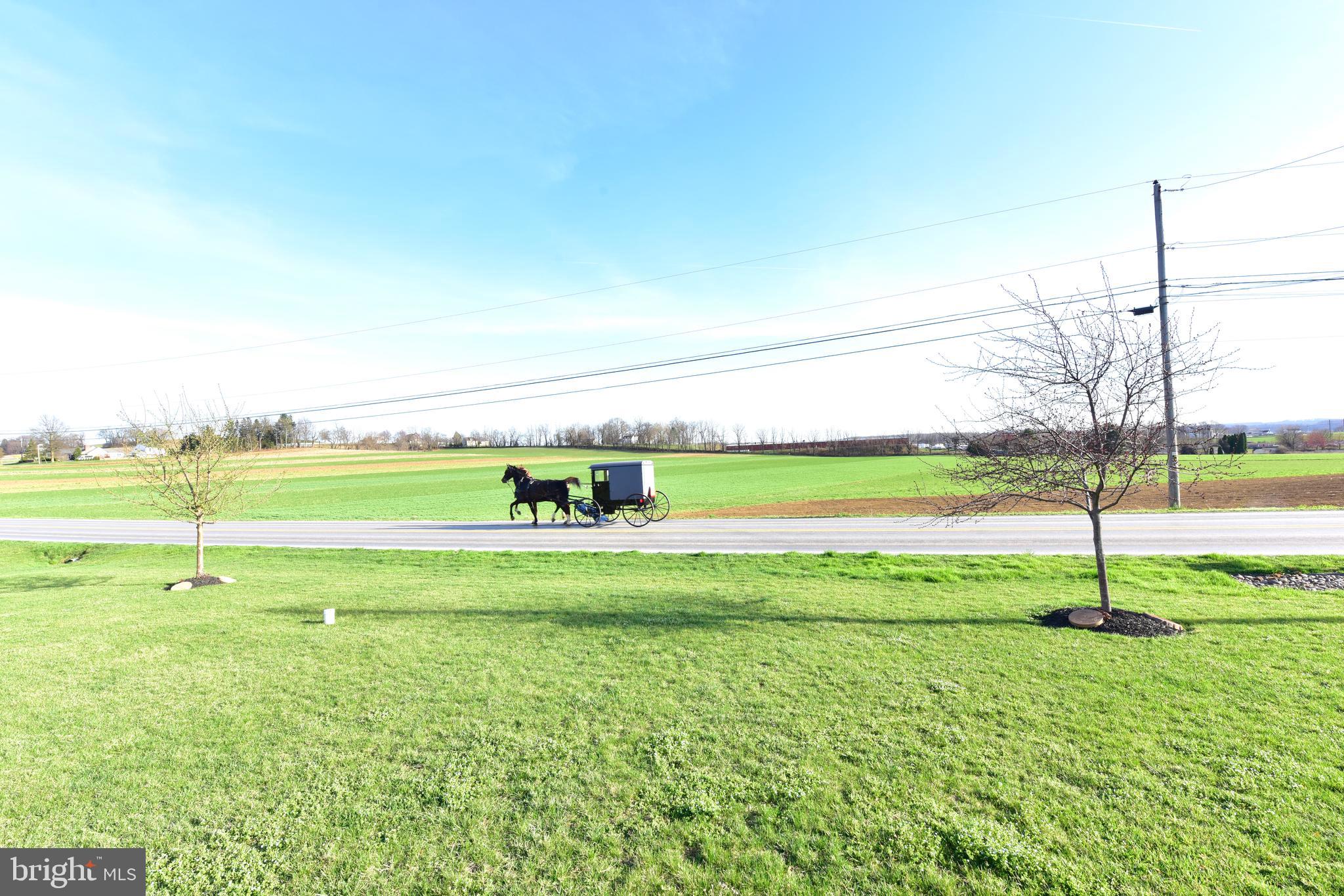 67 Harristown Road Paradise, PA 17562 - Photo 4 of 43 Front Porch View
