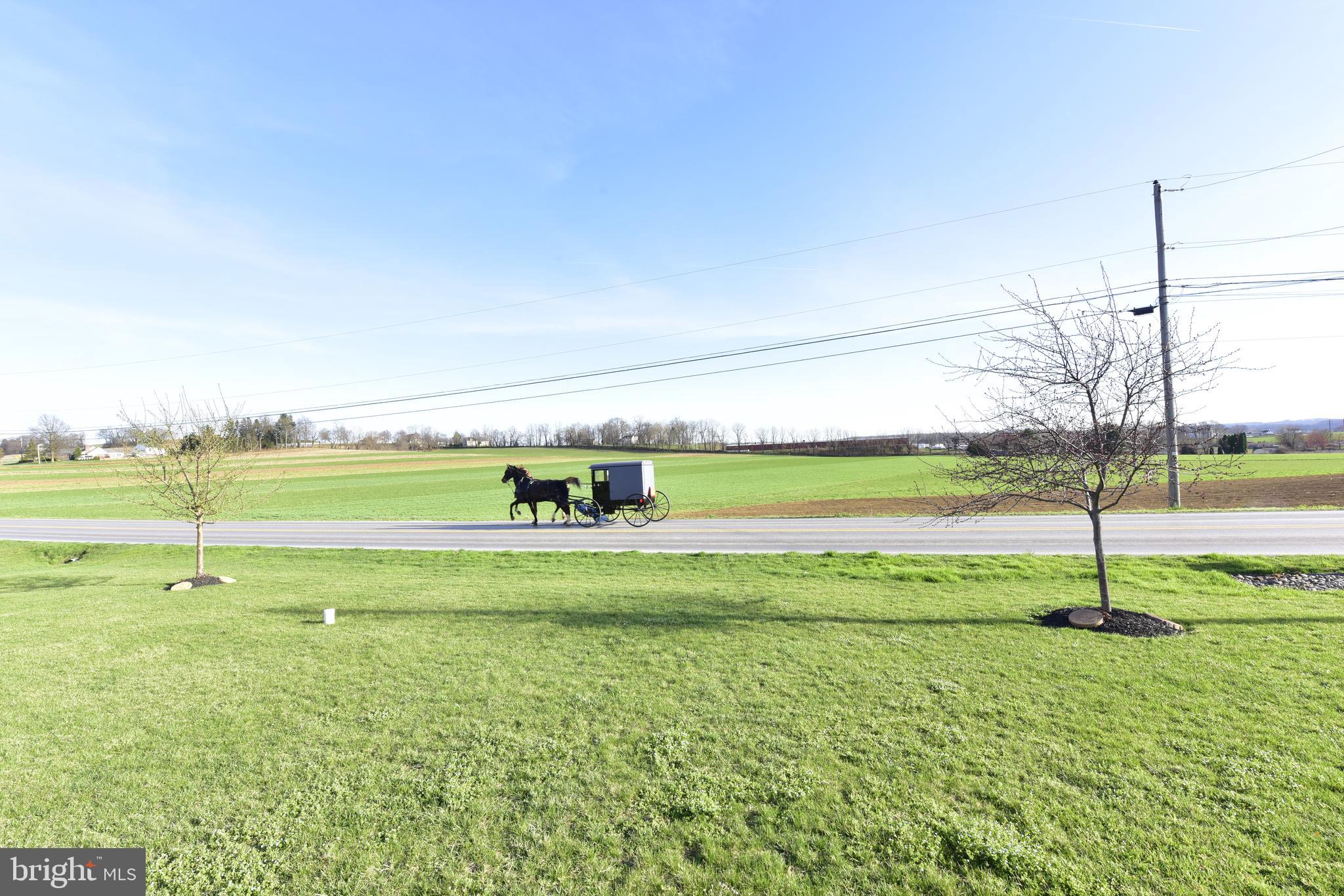 67 Harristown Road Paradise, PA 17562 - Photo 42 of 43 Street view