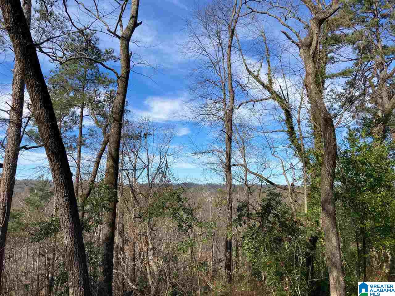 3259 Dell Road Birmingham, AL 35223 - Photo 2 of 6