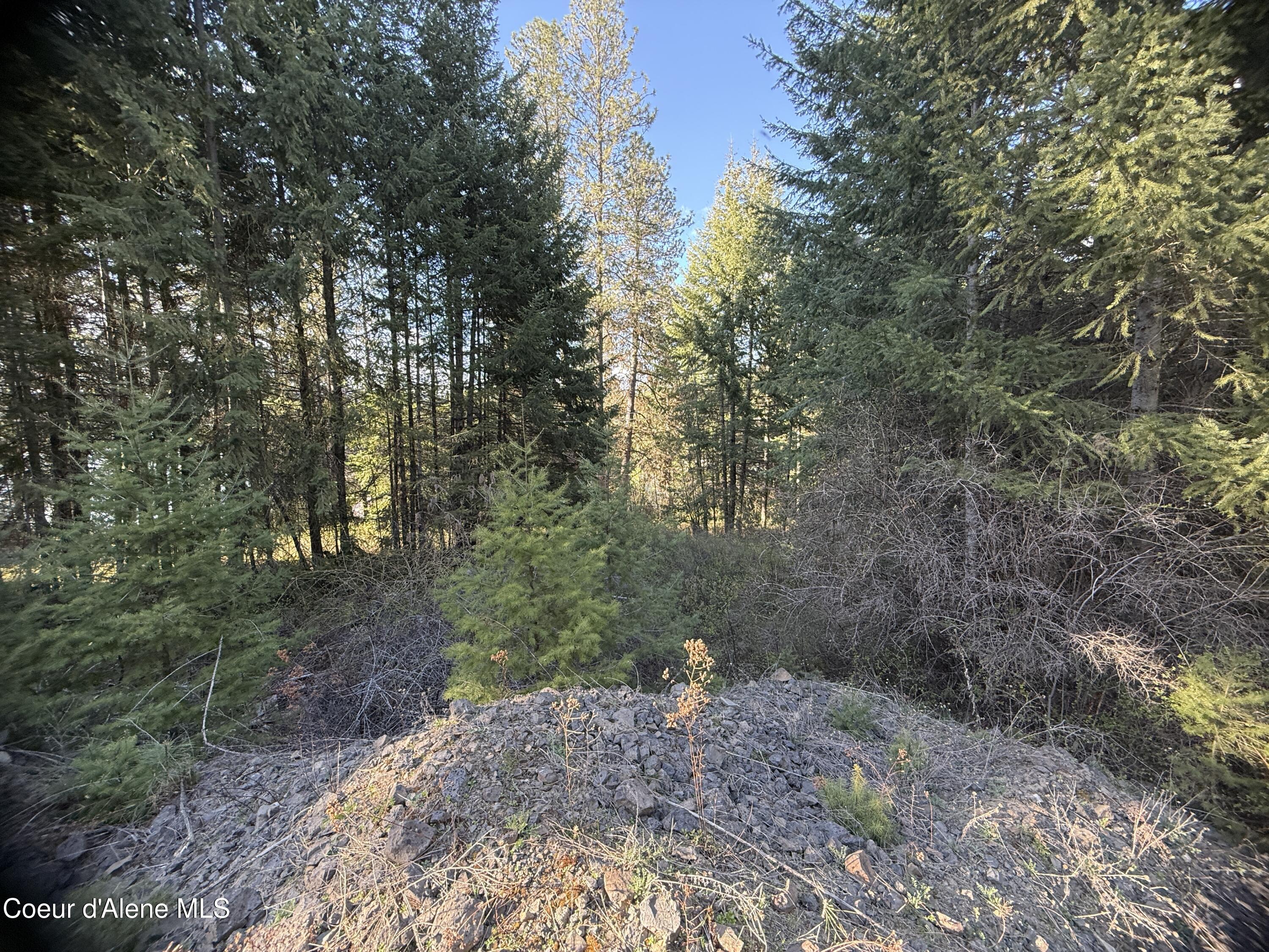 Nna East Half Round Bay Road Harrison, ID 83833 - Photo 7 of 27 IMG_0166