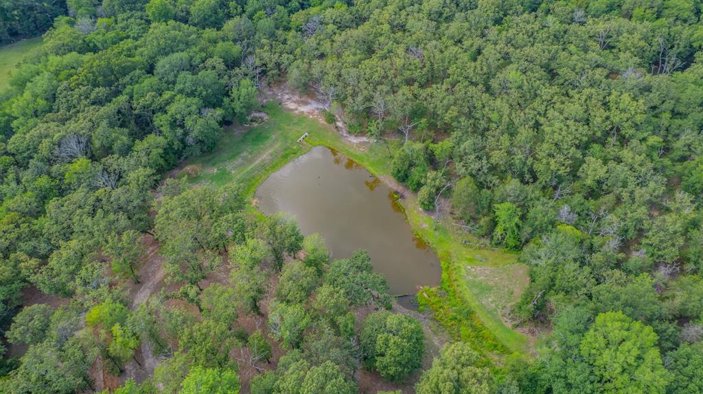 7451 County Road 1509 Athens, TX 75751 - Photo 35 of 36 a view of a lake with a yard