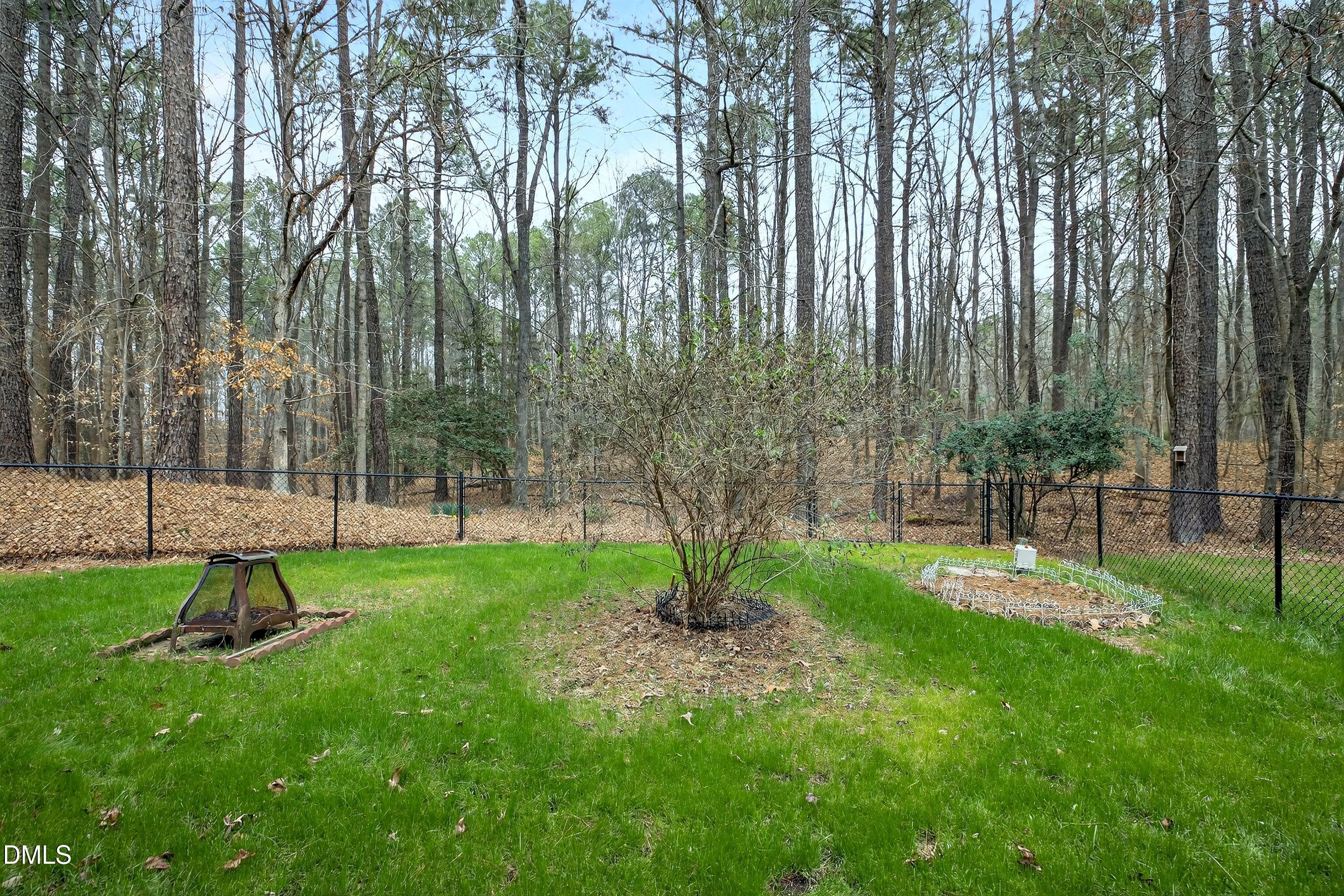 4613 Cross Brook Lane Raleigh, NC 27610 - Photo 51 of 53 a view of a park with a tree