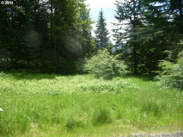 Bruning Road Stevenson, WA 98648 - Photo 1 of 2