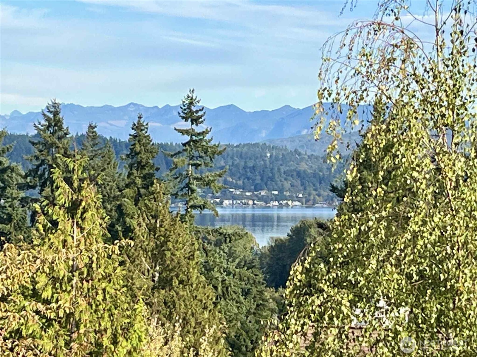 3416 161st Court Southeast, Unit 35 Bellevue, WA 98008 - Photo 2 of 35