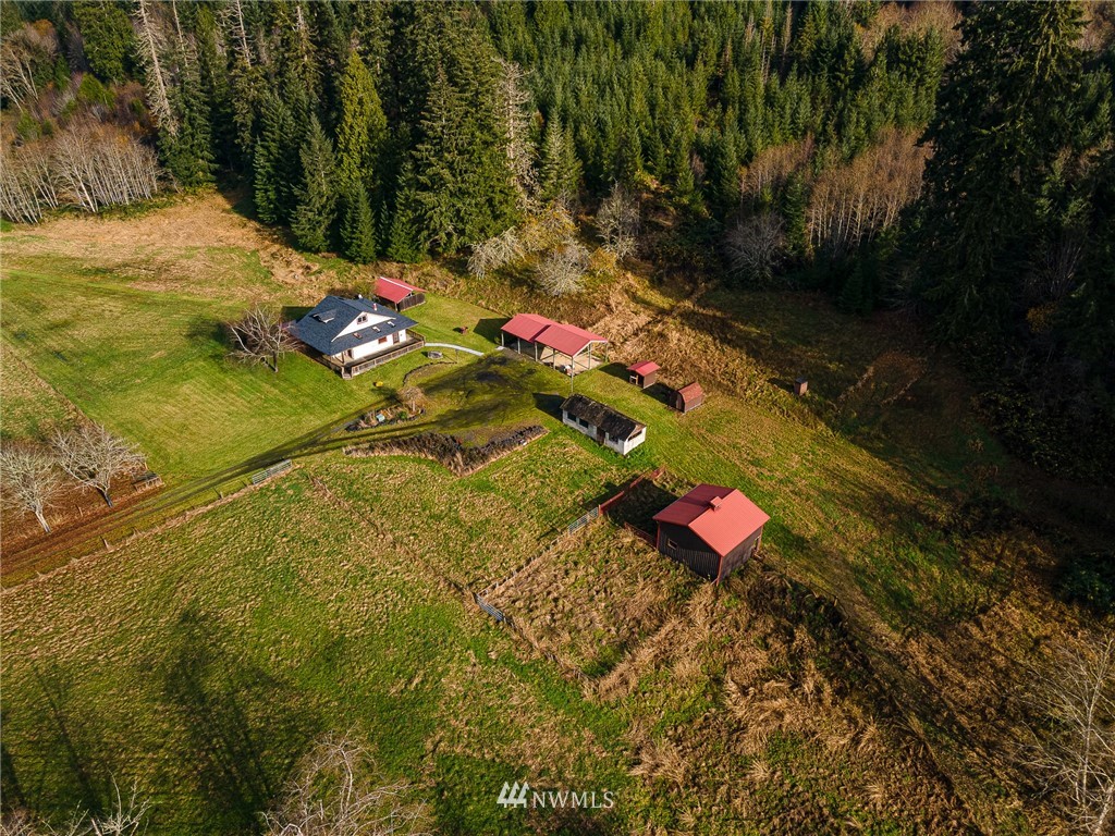 550 Halliday Road Centralia, WA 98531 - Photo 3 of 40 Gallery Image 3