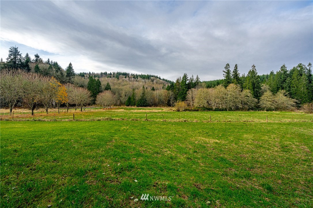 550 Halliday Road Centralia, WA 98531 - Photo 25 of 40 Gallery Image 25