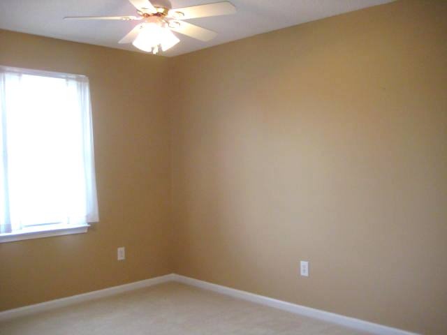 116 Lisa Drive Fountain Inn, SC 29644 - Photo 10 of 25
