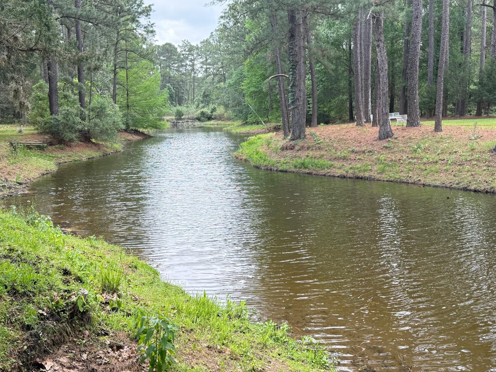 Lake 1/2 Acre