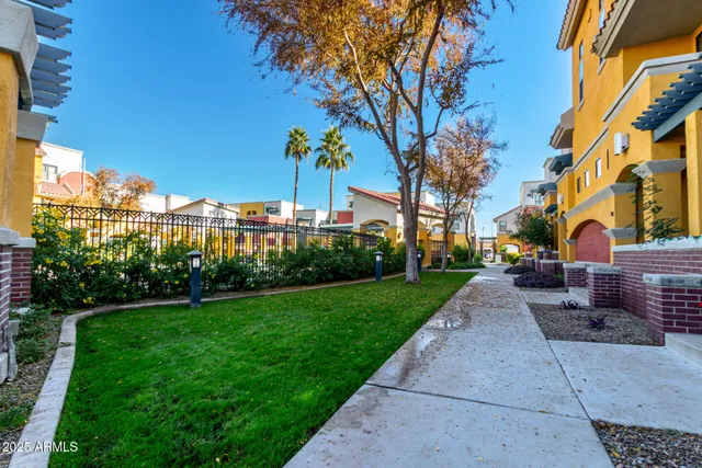 a park view with palm trees