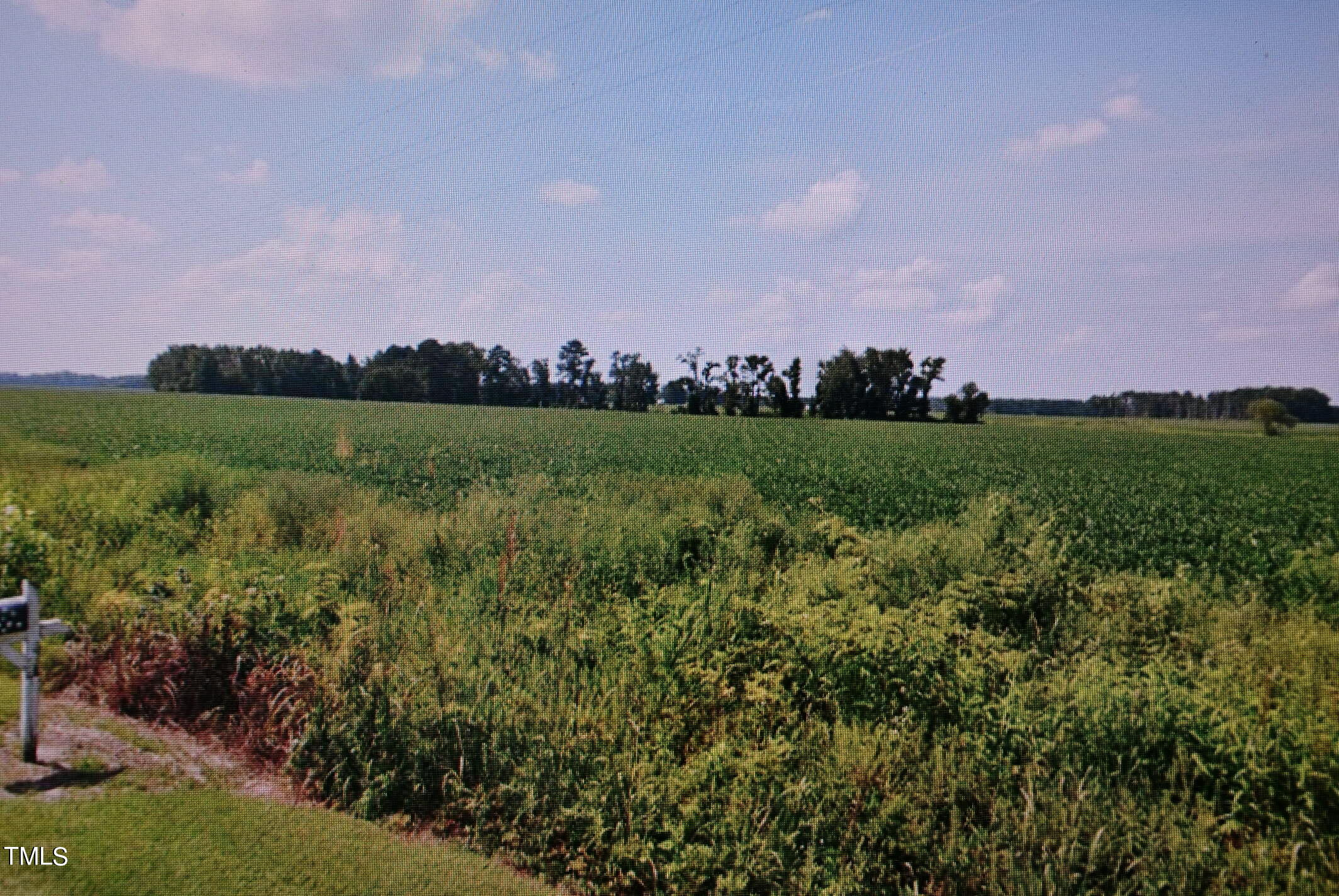 3795 Alex Benton Road Newton Grove, NC 28366 - Photo 3 of 6 DSC_9689