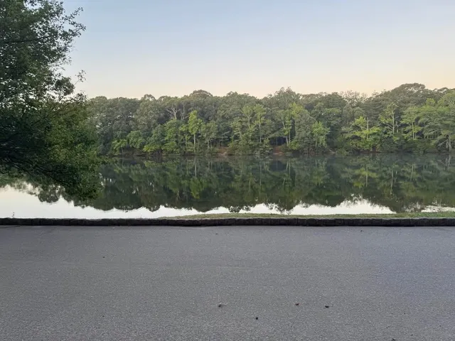 an aerial view of mountain with trees