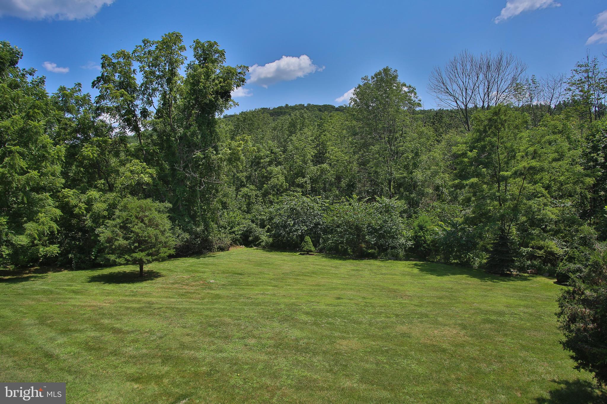 45 Spring Mt Road Schwenksville, PA 19473 - Photo 63 of 80 Rear Yard