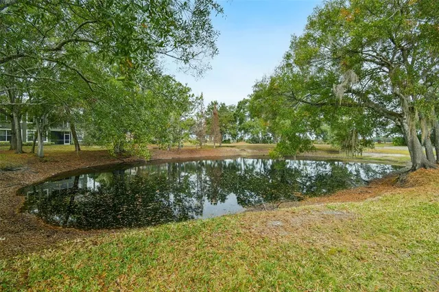 $350,000 | 2013 Santa Catalina Lane, Riverview, FL 33578