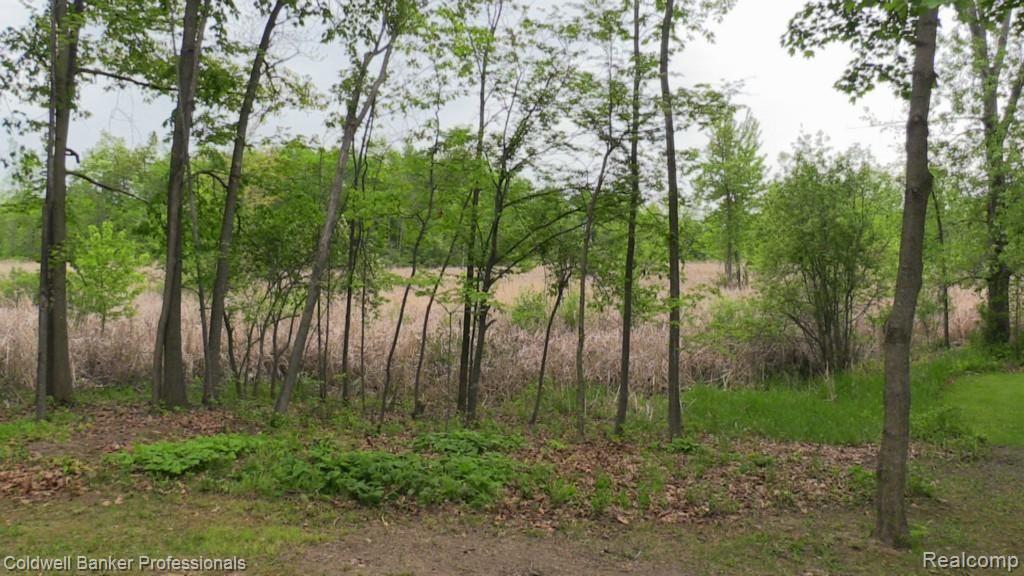 5877 Lyons Road Imlay City, MI 48444 - Photo 37 of 40