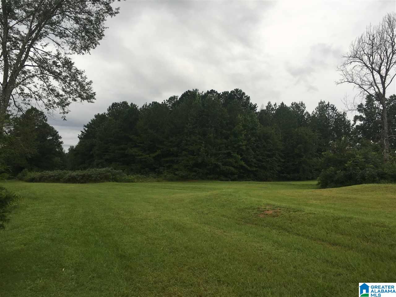 1433 Beat Line Road Warrior, AL 35180 - Photo 9 of 15