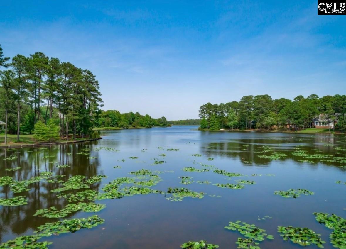 101 Spring Point Drive Columbia, SC 29229 - Photo 52 of 53