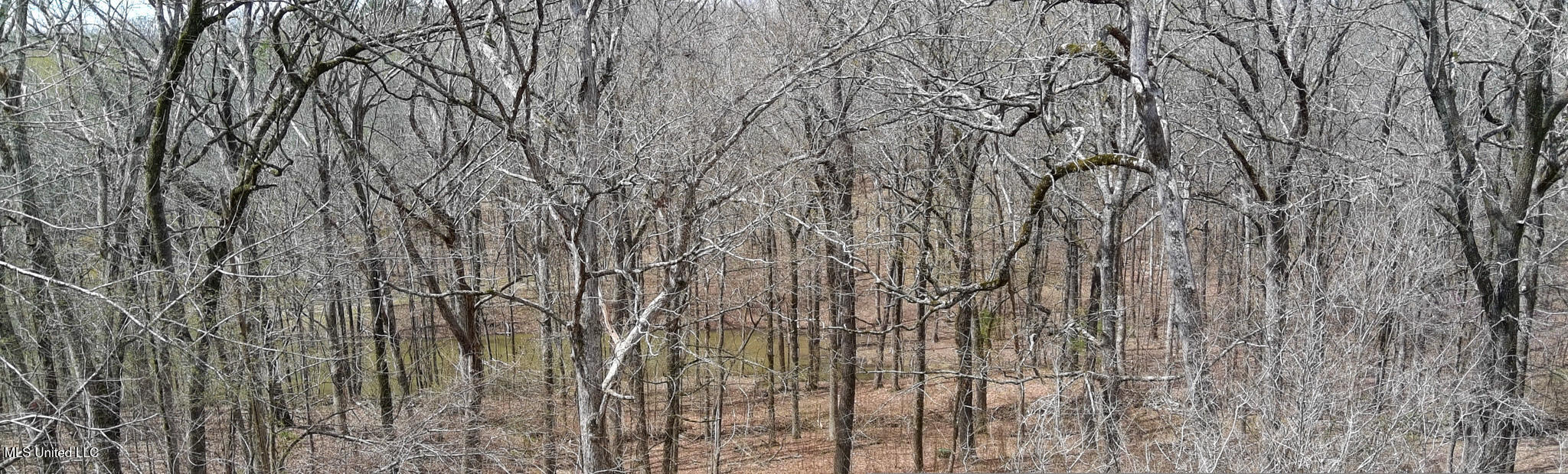 315 Lafferty Road Batesville, MS 38606 - Photo 21 of 29 315 Lafferty-04