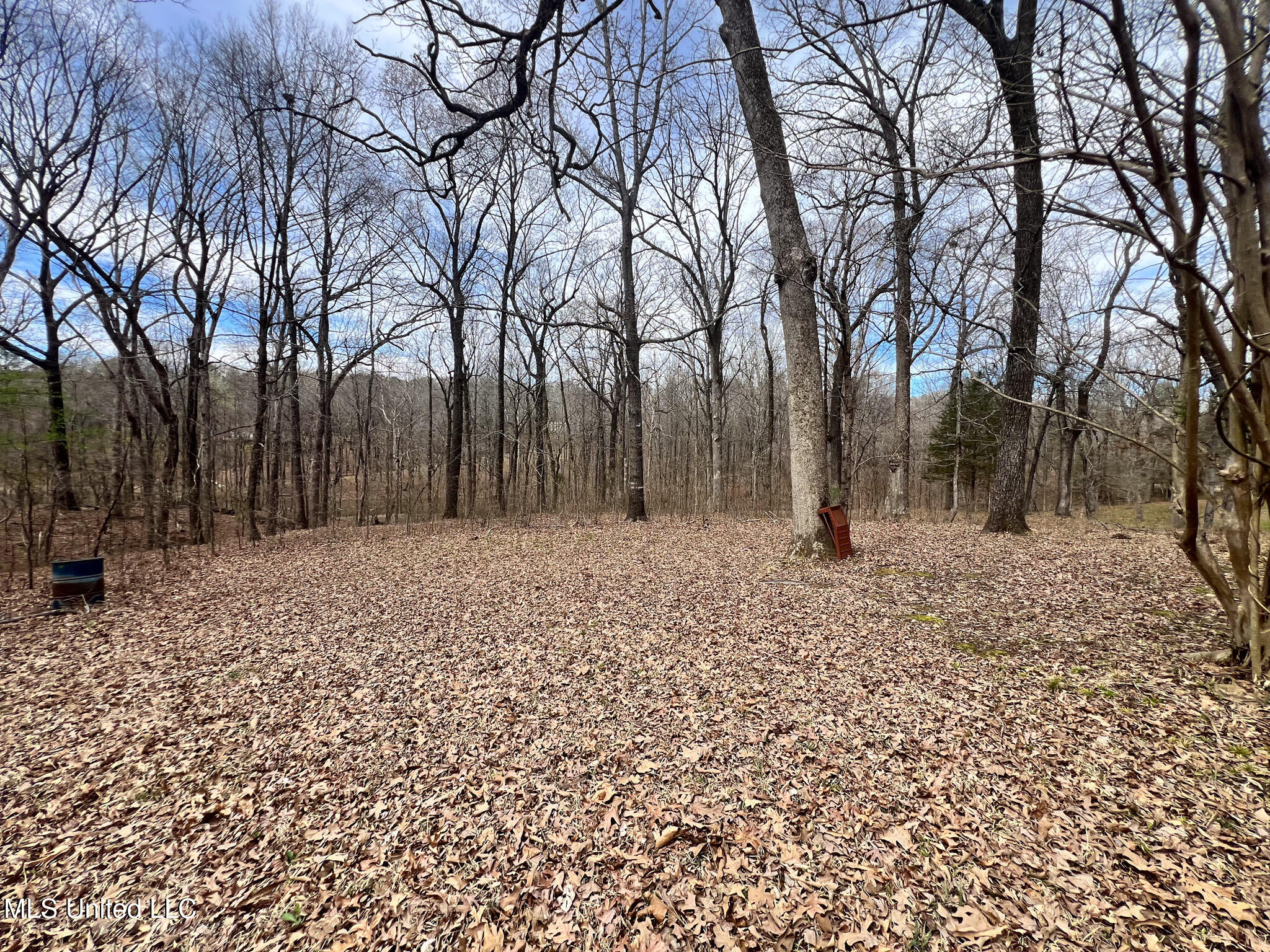 315 Lafferty Road Batesville, MS 38606 - Photo 28 of 29 315 Lafferty-12