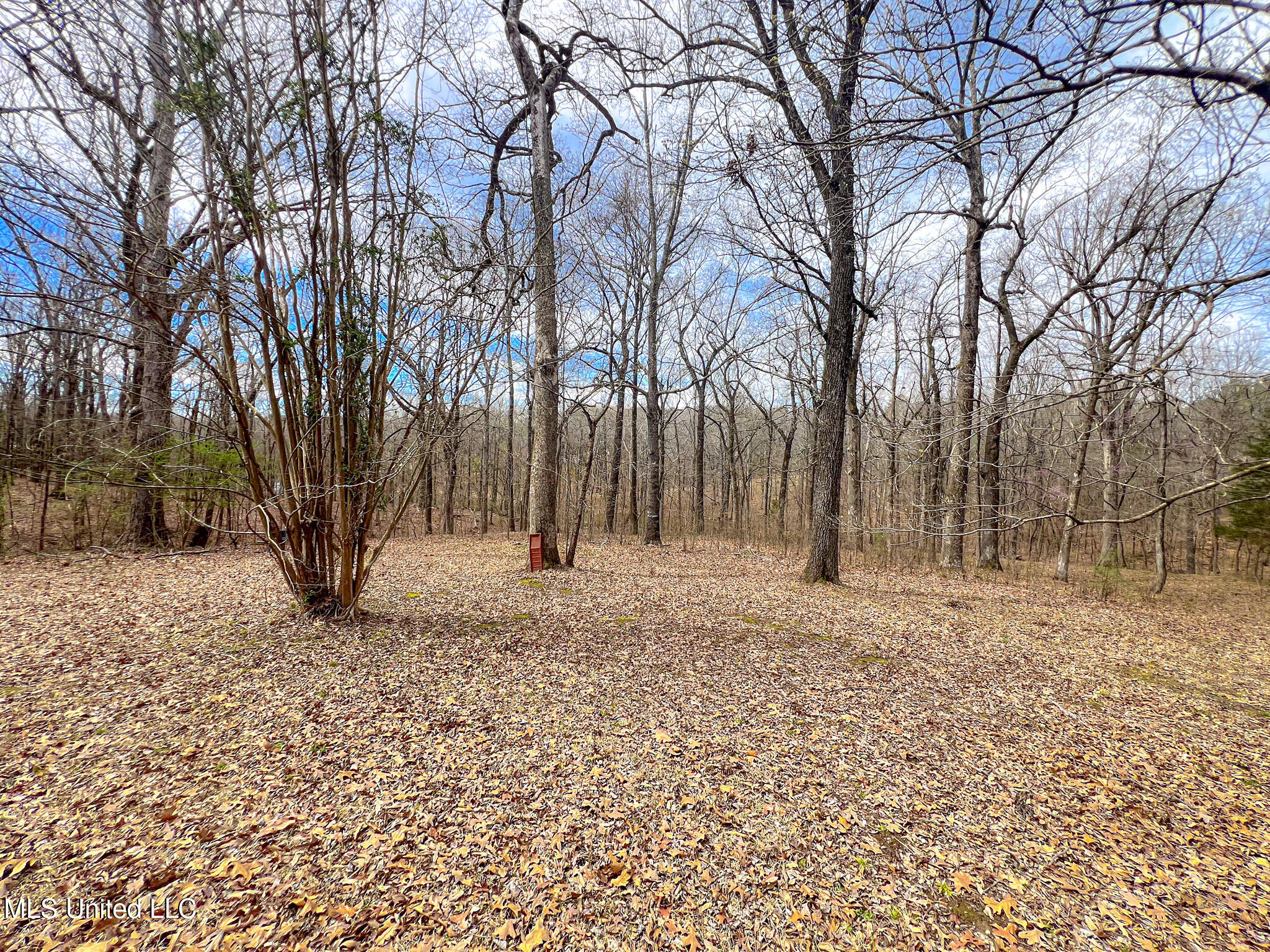 315 Lafferty Road Batesville, MS 38606 - Photo 29 of 29 315 Lafferty-13