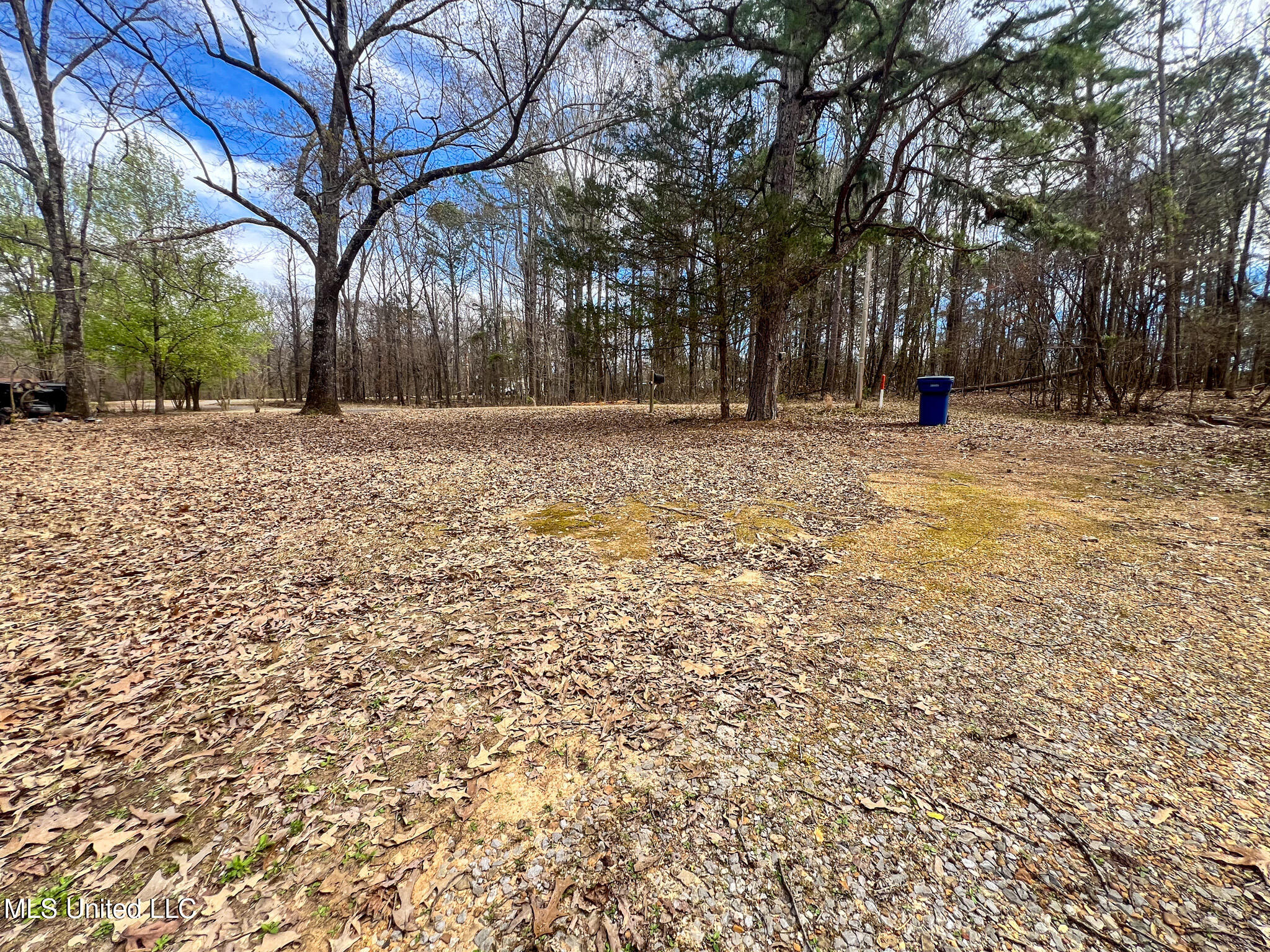 315 Lafferty Road Batesville, MS 38606 - Photo 6 of 29 315 Lafferty-06