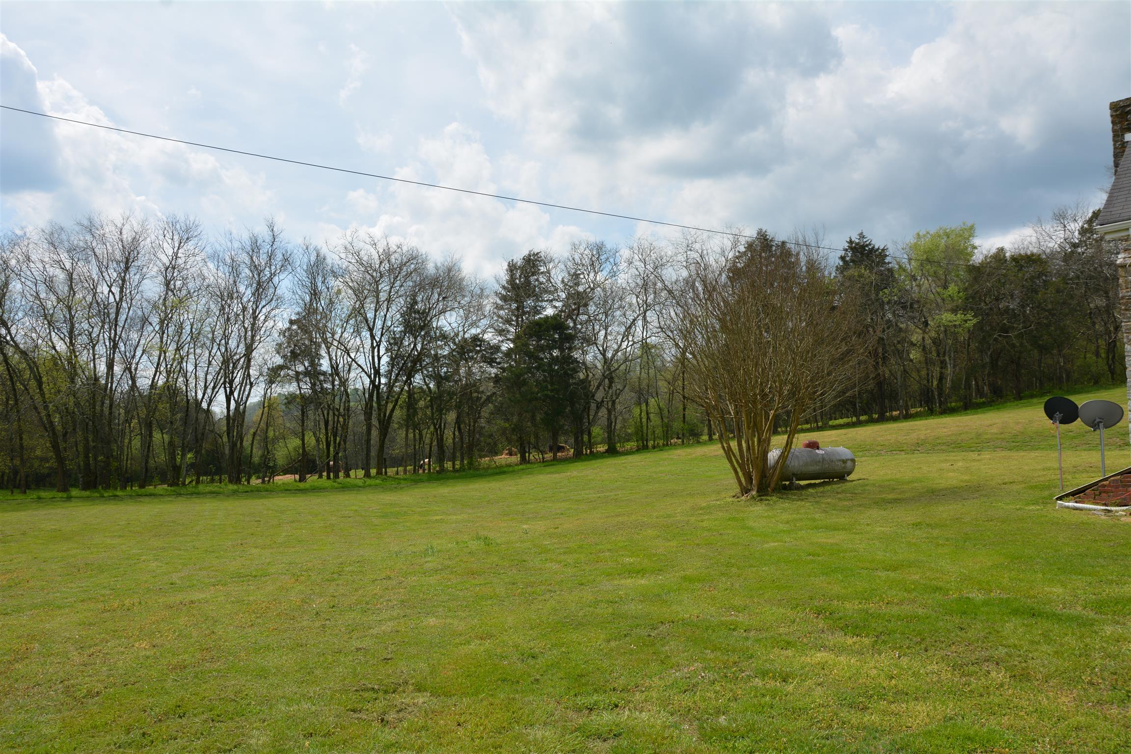 136 McBurg Road Frankewing, TN 38459 - Photo 19 of 20 A great view of the neighboring farm!