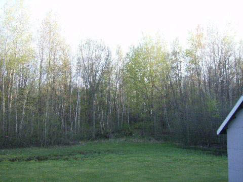 5620 Lange Road Birch Run, MI 48415 - Photo 10 of 10 20166704-9.JPG
